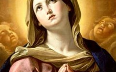 [Podcast] Día de la Inmaculada Concepción