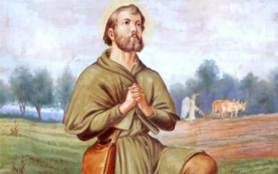 Hoy la Iglesia recuerda a San Isidro Labrador, patrono de los agricultores