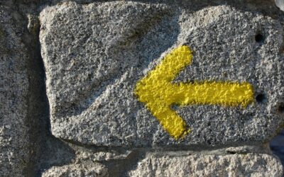 Yo también he hecho el Camino de Santiago