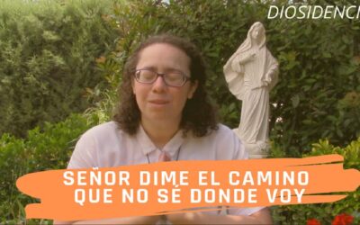 Señor, dime el camino | DiosidenciasSin Autor