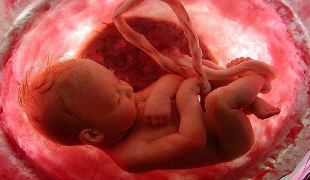 Inglaterra aprueba el aborto en cualquier momento del embarazoSin Autor