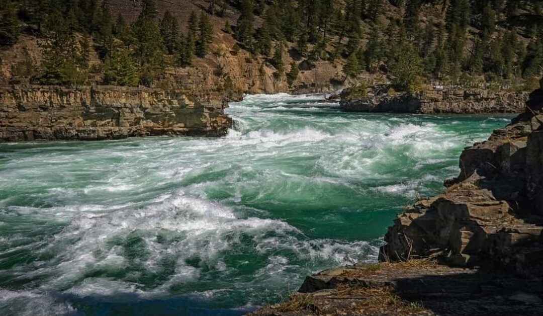 Las aguas caudalosasSin Autor