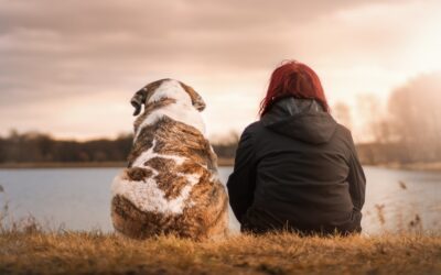 «Tips» para cuidar el corazón y la afectividadSin Autor