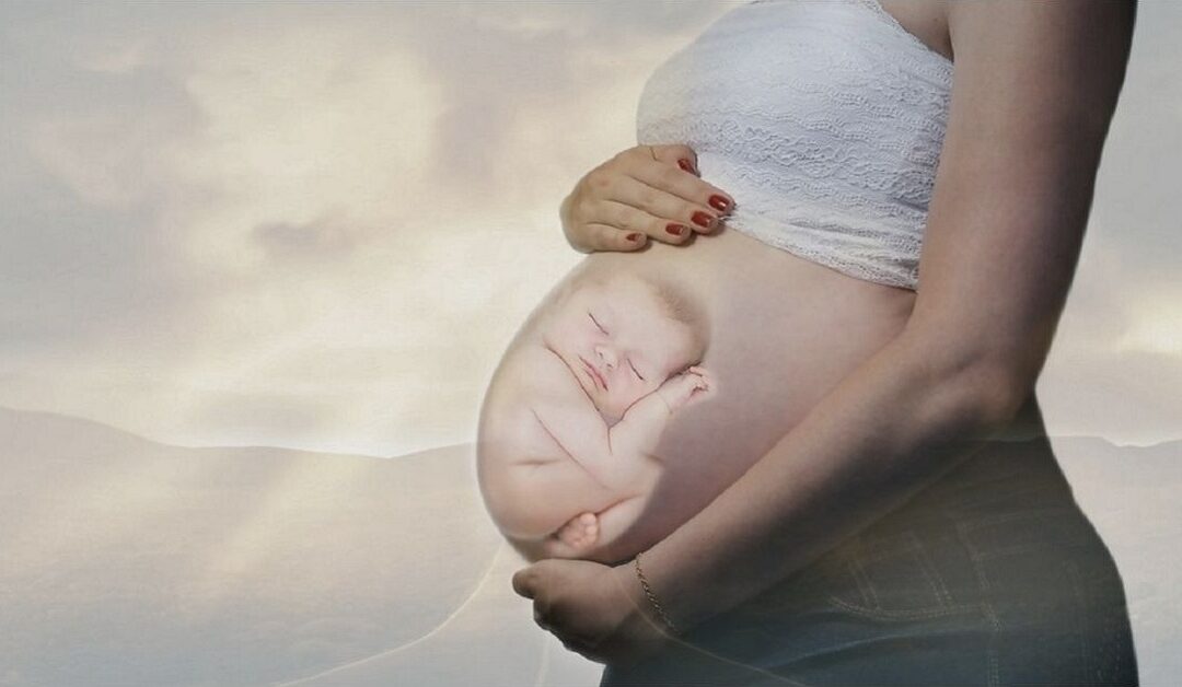 Demoledor: Más de 100.000 abortos en 2023Sin Autor