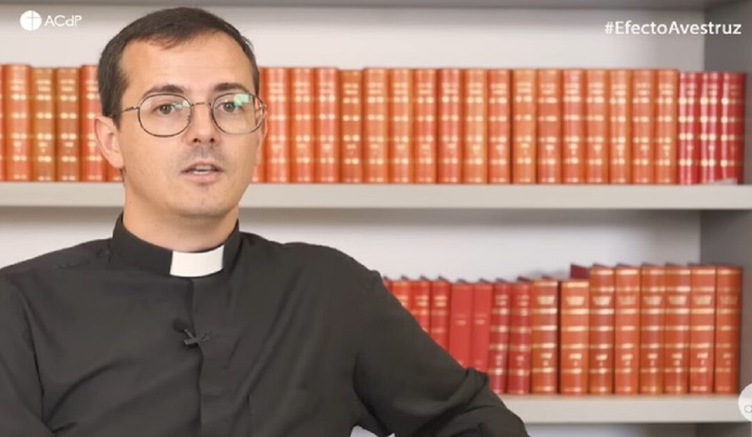 ¿Cómo sé si Dios me pide ser sacerdote?Sin Autor