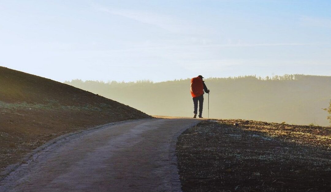 ¿Tiene sentido caminar?Sin Autor