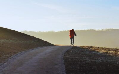 ¿Tiene sentido caminar?Sin Autor