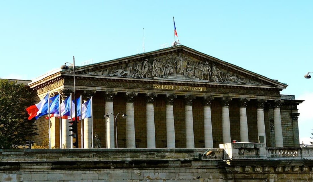 Francia avanza hacia el aborto libre en su ConstituciónSin Autor