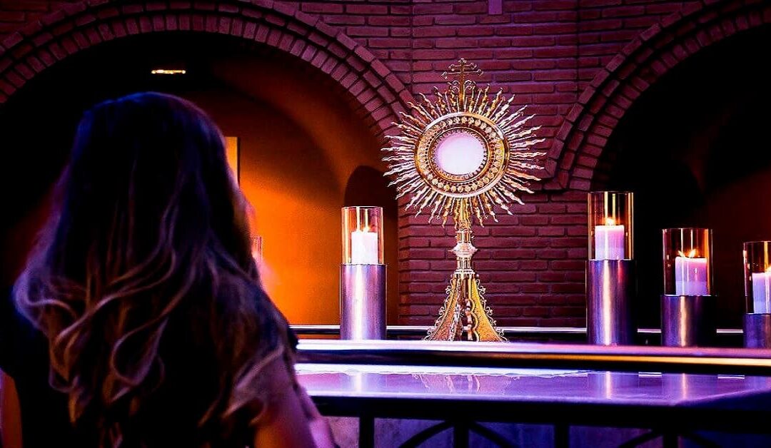 Introducción a la Divina MisericordiaSin Autor