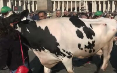 Agricultores asisten al Ángelus y regalan un tractor al PapaSin Autor