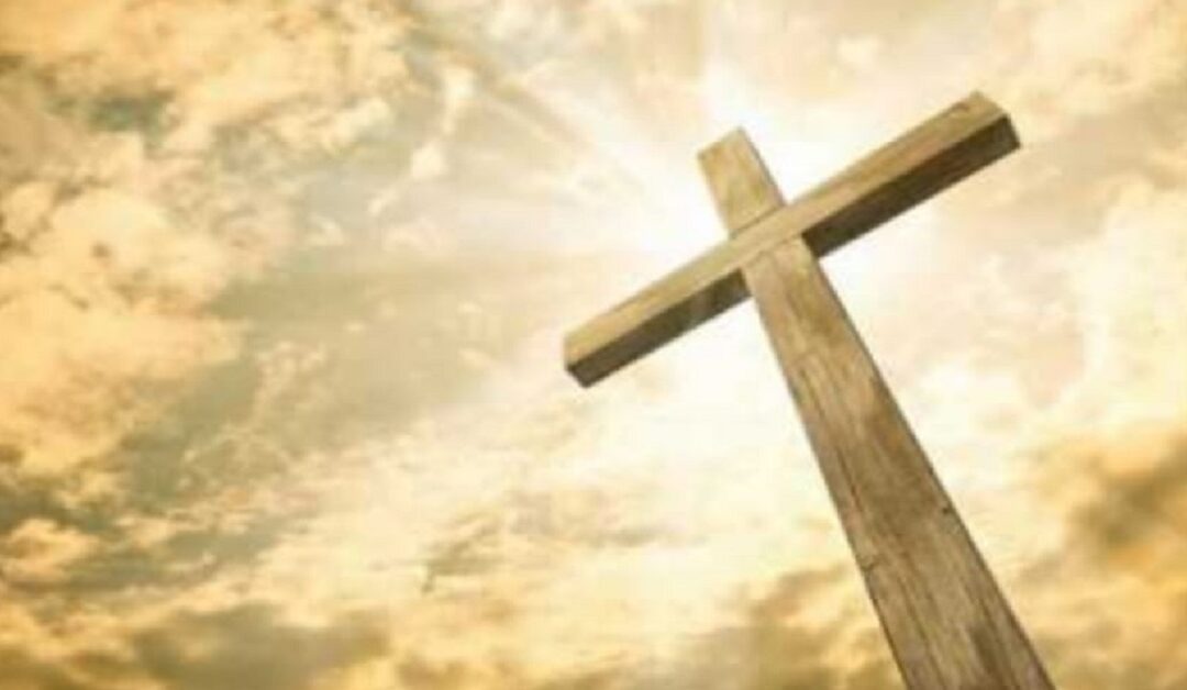 Bella conversiónSin Autor