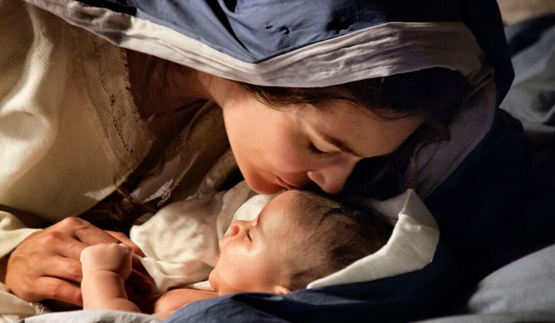 Declaración de fin de añoSin Autor