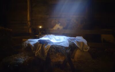 VENDRÁ (Benedictus) – LuispoSin Autor