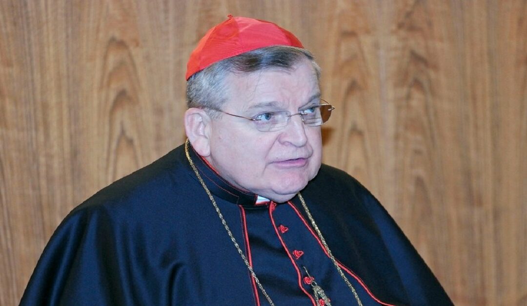 El Cardenal Burke habla a los sacerdotesSin Autor