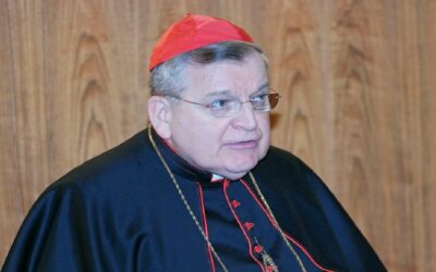 El Cardenal Burke habla a los sacerdotesSin Autor