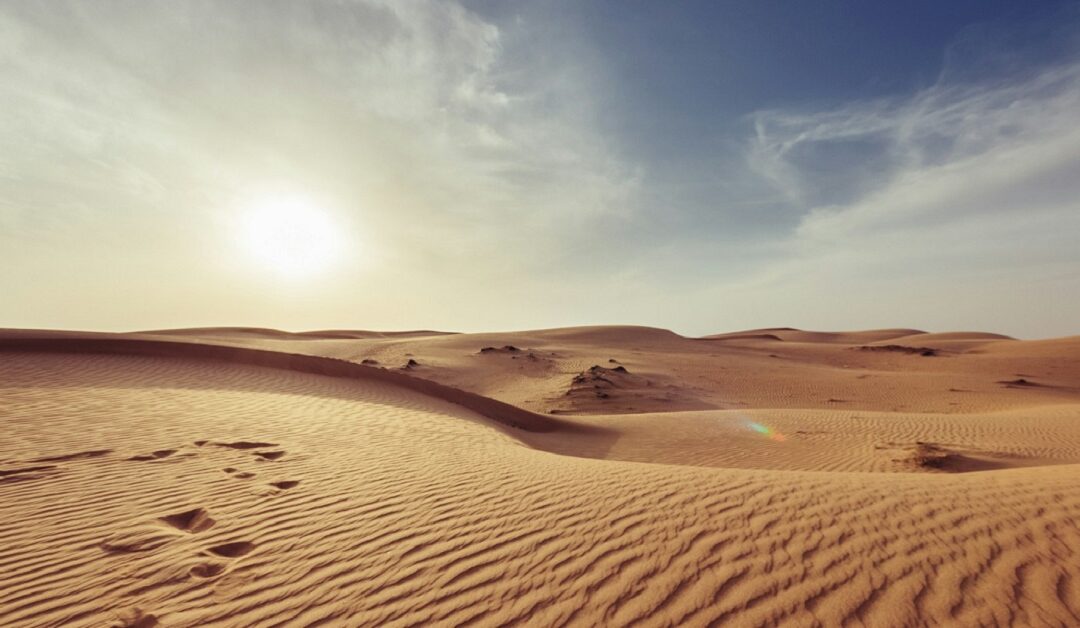 Cuaresma y un “camino que sigue y sigue”Sin Autor