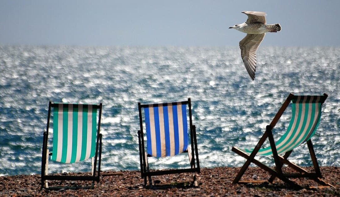 ¿Llegas tarde a verano?Sin Autor