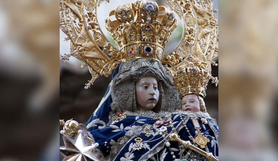PatronaJavier Pereda Pereda