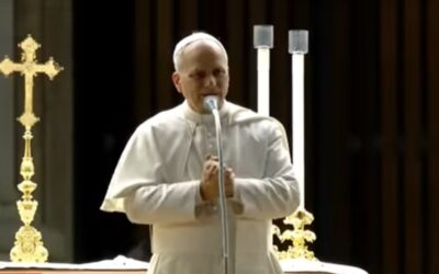 El Papa llama a los misioneros digitales a reparar las redesSin Autor