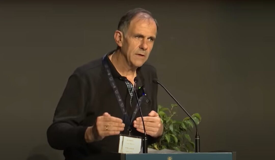 Transformar el hogar en un trocito de cielo. Juan Manuel CoteloSin Autor