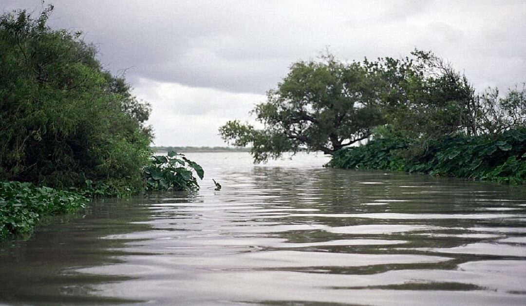El Papa reza por las víctimas de las inundaciones de TexasSin Autor
