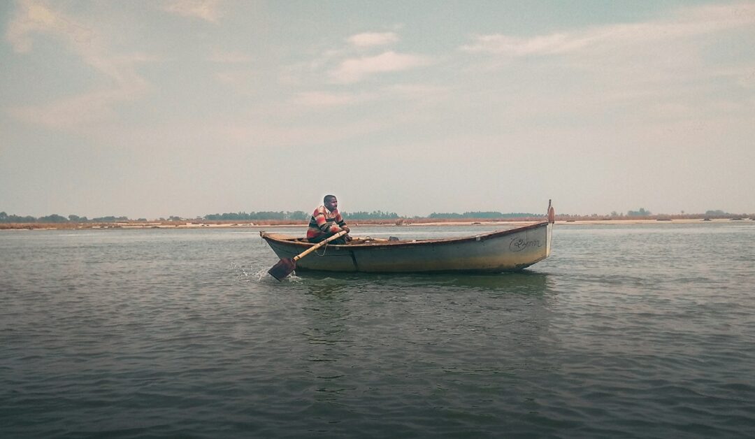 🛶 Las verdades que nadie quiere decirSin Autor