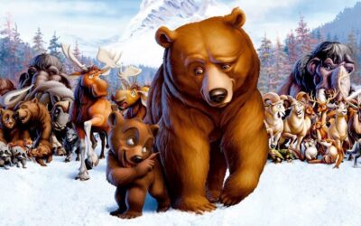 «Hermano Oso» – Un historia sobre crecimiento y apredizaje