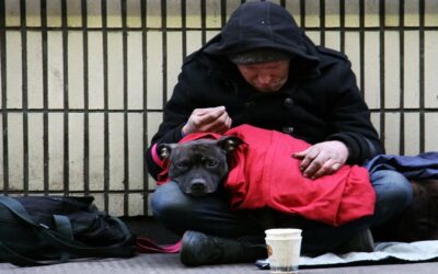 Valorar la debilidadSin Autor