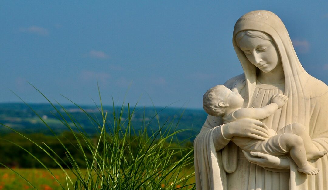 Mirar a la Virgen María y dejarnos mirar por ellaSin Autor