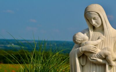 Mirar a la Virgen María y dejarnos mirar por ellaSin Autor