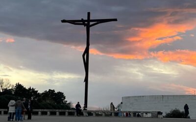 Vivir en paz, sin expectativasSin Autor