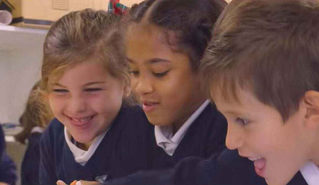 «Pepe el pastor».  Colegio Irabia-IzagaSin Autor