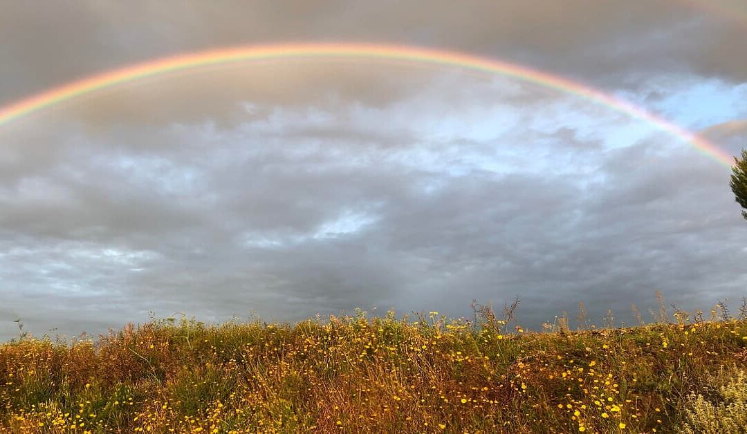 SuicidioJavier Pereda Pereda
