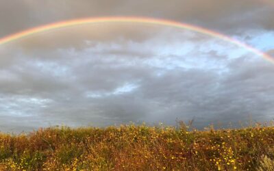 SuicidioJavier Pereda Pereda