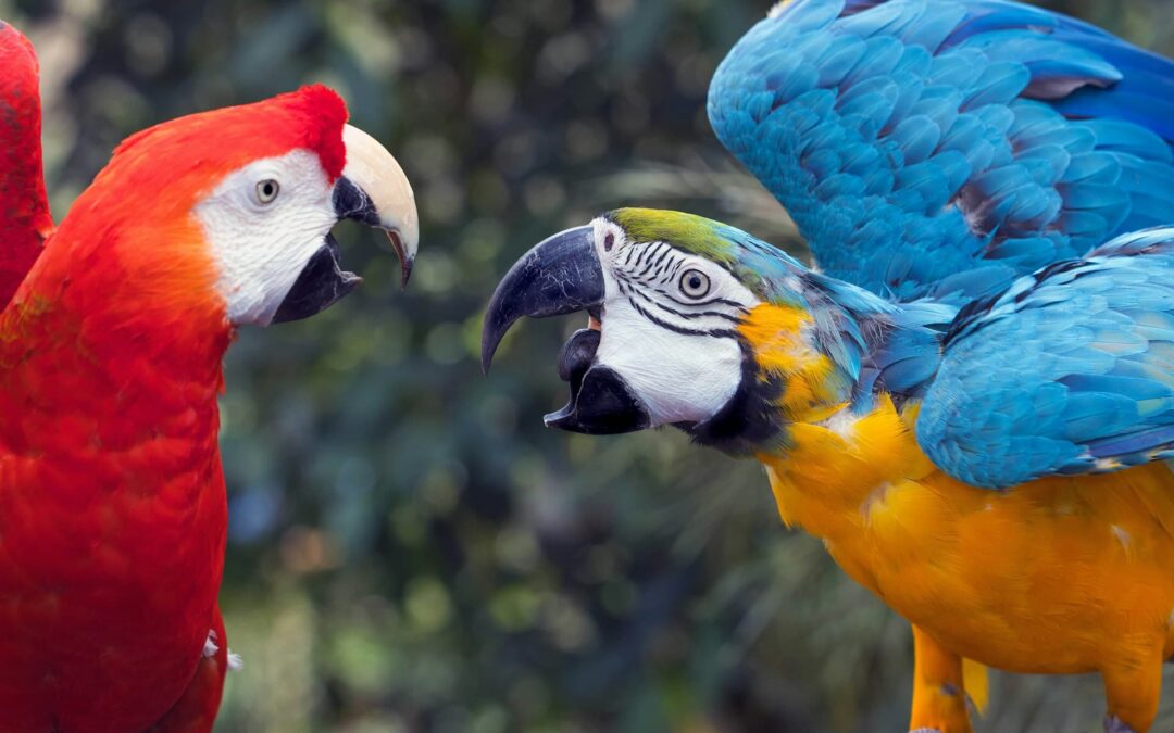 Polarización y pluralismoJaime Nubiola