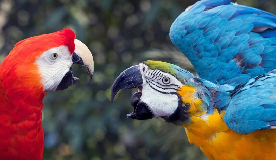 Polarización y pluralismoJaime Nubiola