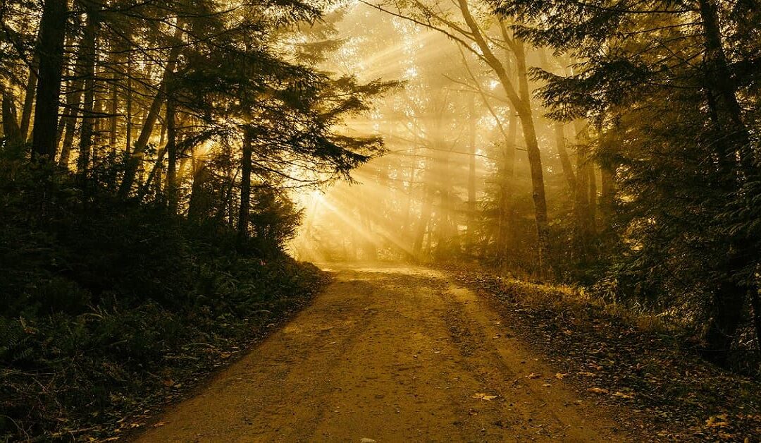 ¿De qué me sirve creer en Dios?Sin Autor