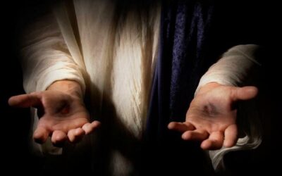 Un hospital para los que caminanSin Autor