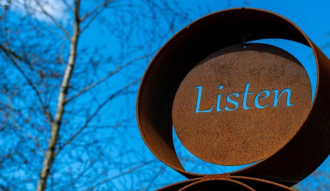 Nadie escuchaJaime Nubiola