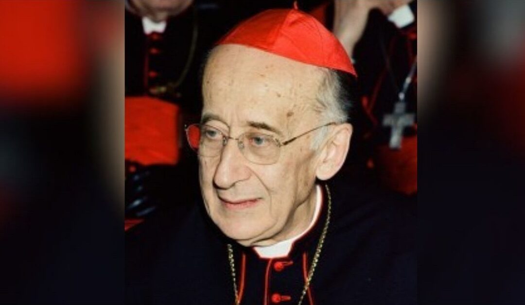 Entrevista al Cardenal RuiniSin Autor